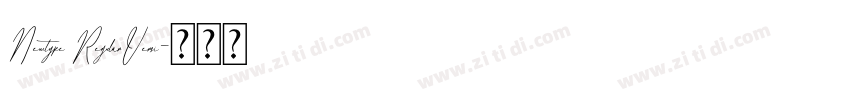 Newtype RegularVersi字体转换 Newtype RegularVersi字体转换